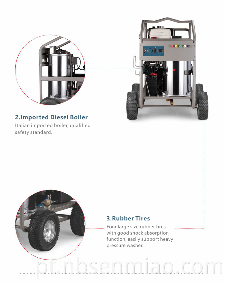 2950psi pressure washer